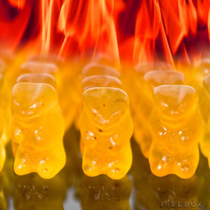 Evil Hot Gummi Bears