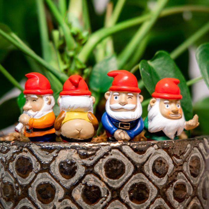 Mini Plant Pot Naughty Gnomes