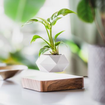 Levitos Plant Pot