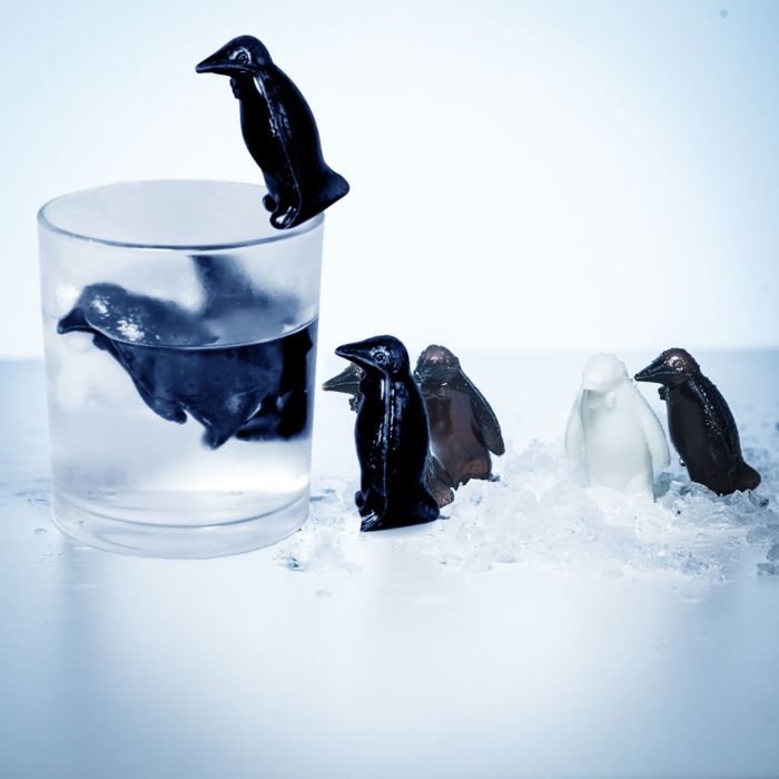 Chilly Feet Penguin Drinks Coolers