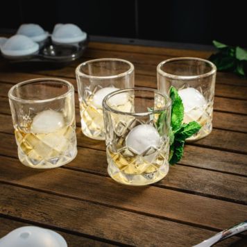Shot Glasses and Ice Tray Set